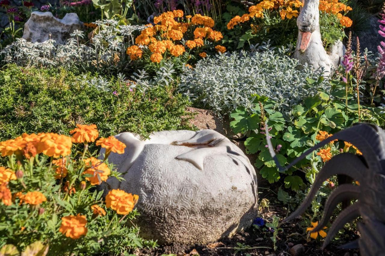 Tonigbauernhof Blumenwiese Schenna Extérieur photo