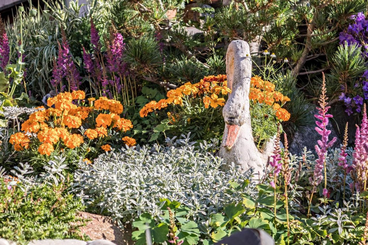 Tonigbauernhof Blumenwiese Schenna Extérieur photo